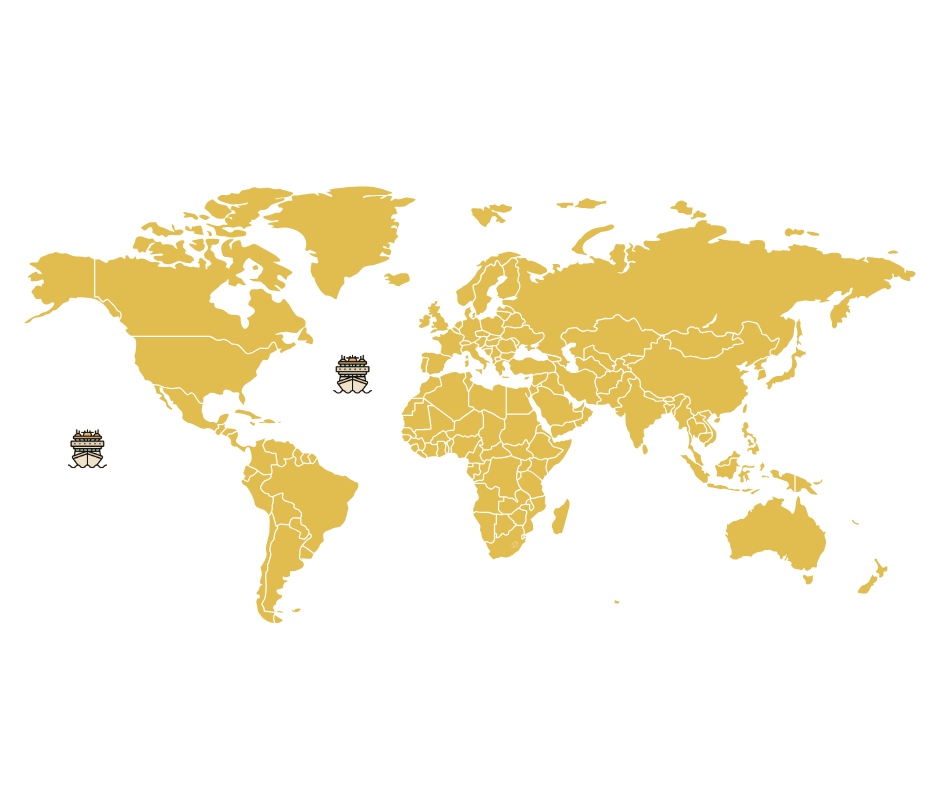 World Map
