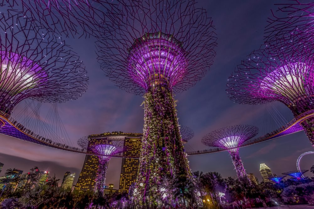 CEL_Singapore_Supertree_Grove_1